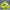 Foam Man Shoes Foam Runners Sandals Luxury Designer Flat Man Sandals Easy Foam Runners Shoes For Man Foam Runners Yeezy Back To The Future Shoes Platform Sandals Casual Clogs Shoes Man Slippers Luxury