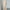 2025 New Women's Spring Summer Fashion Loose Bat Sleeve Curling Irregular Elegant Seven Inch Sleeve Long Dress