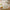 Egg Cooker Portable Low Power Student Dormitory Mini Breakfast Machine Automatic Power Off Electric Steamer Kitchen Tool 120W