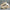 Foam Man Shoes Foam Runners Sandals Luxury Designer Flat Man Sandals Easy Foam Runners Shoes For Man Foam Runners Yeezy Back To The Future Shoes Platform Sandals Casual Clogs Shoes Man Slippers Luxury