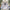 Autumn New 2025 Woman Shirts & Blouses Hit Color Pattern Blusas Loose Casual Ropa Mujer Long Sleeve Camisas Women Clothing