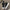 New Fashion High-top Casual Shoes Men Platform White Ankle Boot in Canvas Zipper Ornament Sneaker Boots Handcrafted Man Footwear