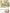 Egg Cooker Portable Low Power Student Dormitory Mini Breakfast Machine Automatic Power Off Electric Steamer Kitchen Tool 120W